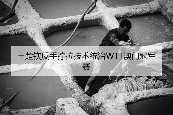 王楚钦反手拧拉技术统治WTT澳门冠军赛