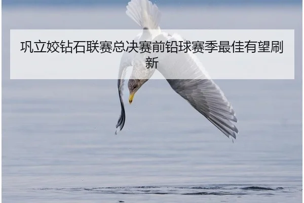 巩立姣钻石联赛总决赛前铅球赛季最佳有望刷新