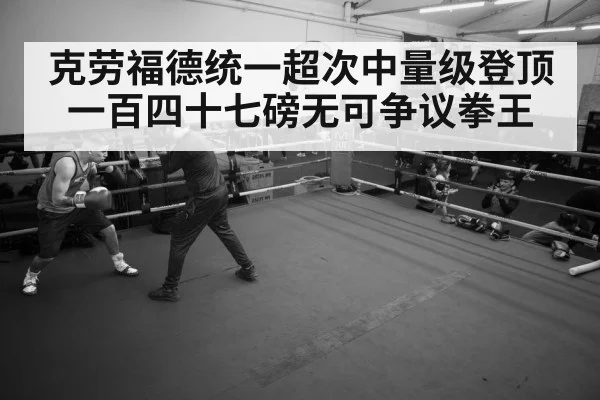 boxer training gym