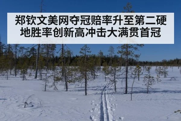 郑钦文美网夺冠赔率升至第二硬地胜率创新高冲击大满贯首冠
