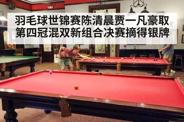 羽毛球世锦赛陈清晨贾一凡豪取第四冠混双新组合决赛摘得银牌