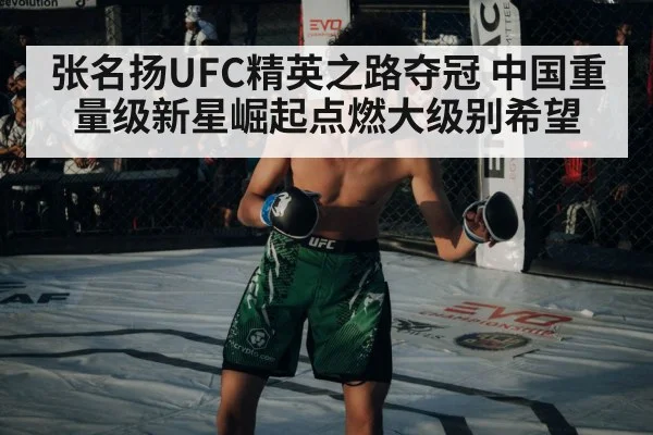 张名扬UFC精英之路夺冠 中国重量级新星崛起点燃大级别希望